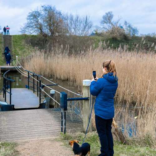 Hundeauslaufgebiet-Braun_Fotografie-Bild