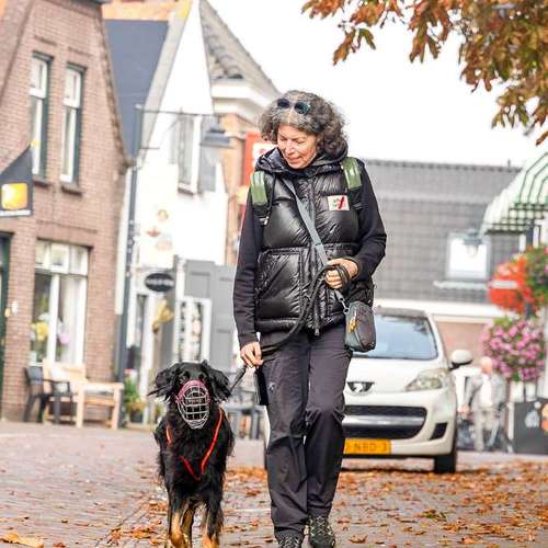 Hundeauslaufgebiet-Braun_Momente-Bild