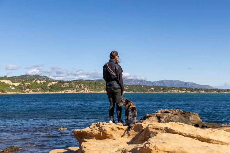 Hundeauslaufgebiet-Braun_Fotografie-Bild