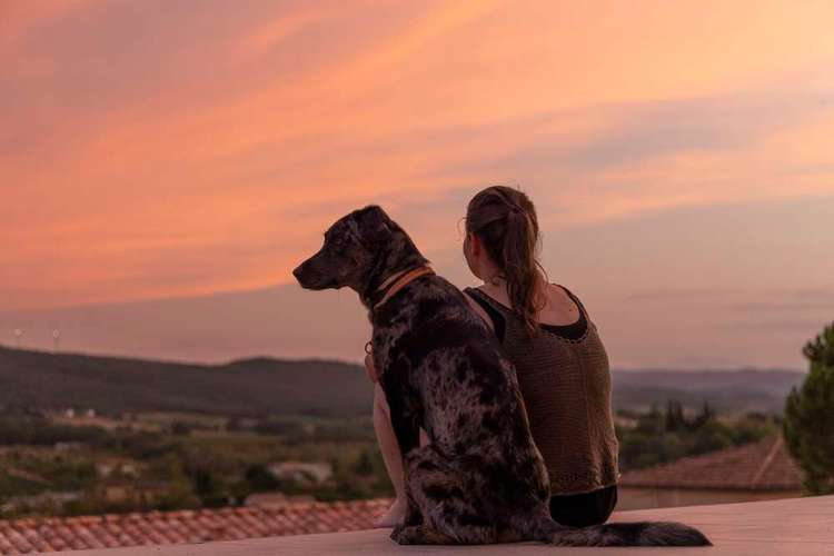 Hundeauslaufgebiet-Braun_Fotografie-Bild