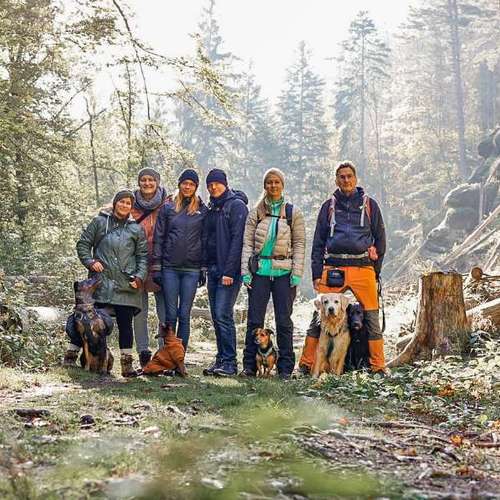 Hundeauslaufgebiet-Braun_Fotografie-Bild