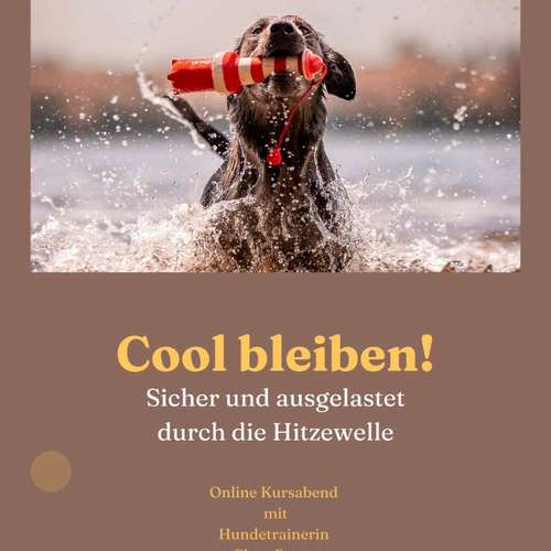 Hundeauslaufgebiet-Braun_Momente-Bild