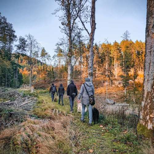 Hundeauslaufgebiet-Braun_Fotografie-Bild