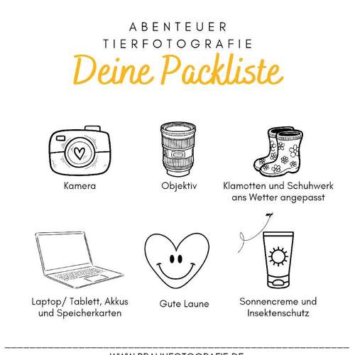 Hundeauslaufgebiet-Braun_Fotografie-Bild