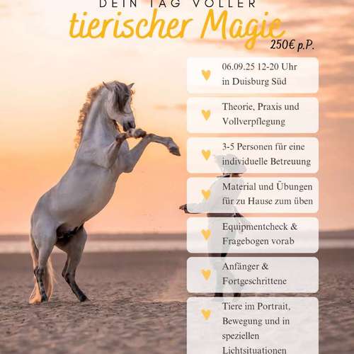 Hundeauslaufgebiet-Braun_Fotografie-Bild