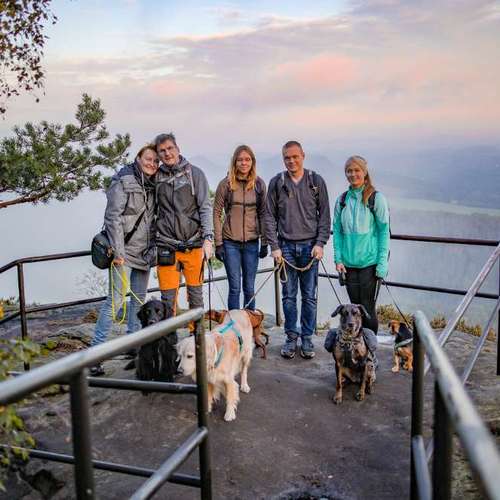 Hundeauslaufgebiet-Braun_Fotografie-Bild