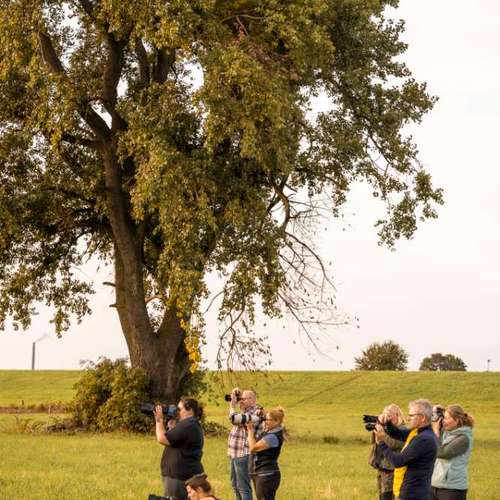 Hundeauslaufgebiet-Braun_Fotografie-Bild
