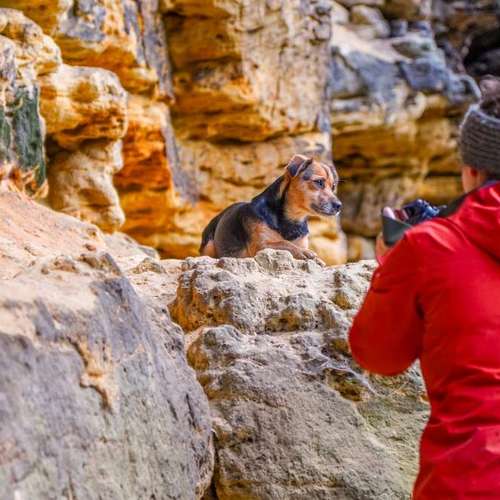Hundeauslaufgebiet-Braun_Fotografie-Bild