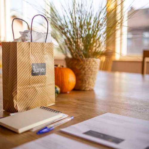 Hundeauslaufgebiet-Braun_Fotografie-Bild