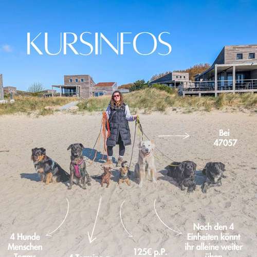 Hundeauslaufgebiet-By_Braun-Bild