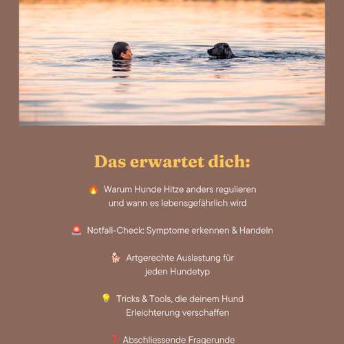 Hundeauslaufgebiet-Braun_Momente-Bild