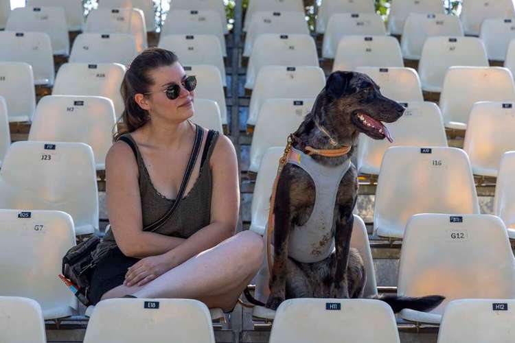 Hundeauslaufgebiet-Braun_Fotografie-Bild