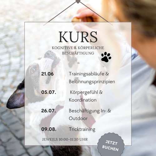 Hundeauslaufgebiet-By_Braun-Bild