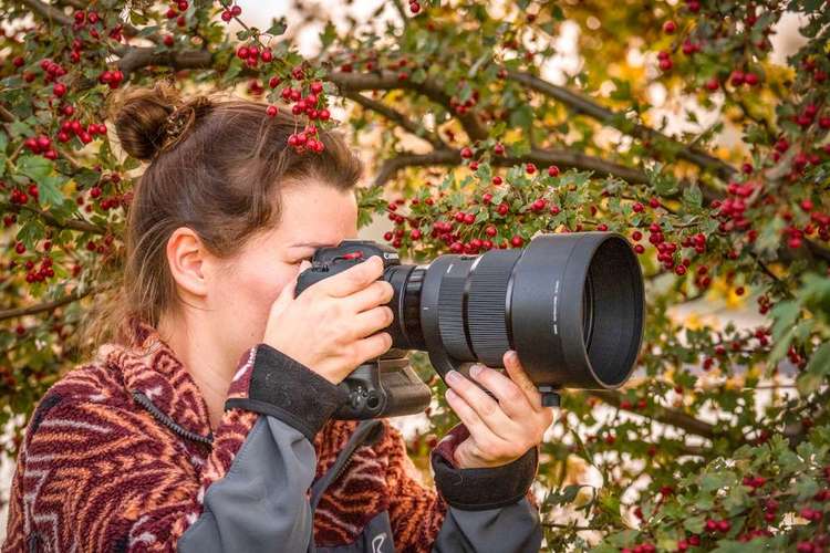 Hundeauslaufgebiet-Braun_Fotografie-Bild