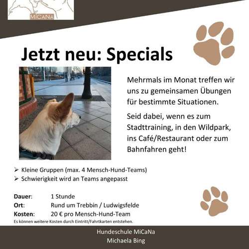 Hundeauslaufgebiet-Hundeschule MiCaNa-Bild