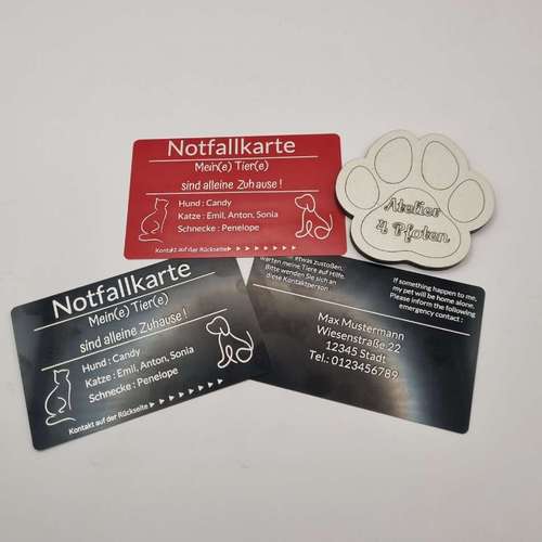 Hundeauslaufgebiet-Atelier 4 Pfoten-Bild