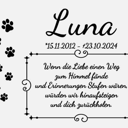 Hundeauslaufgebiet-Atelier 4 Pfoten-Bild