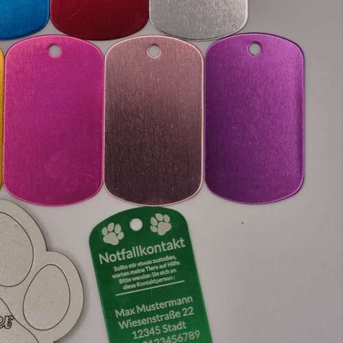 Hundeauslaufgebiet-Atelier 4 Pfoten-Bild