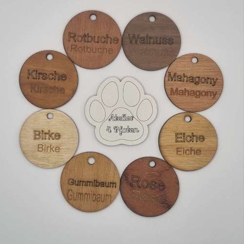 Hundeauslaufgebiet-Atelier 4 Pfoten-Bild