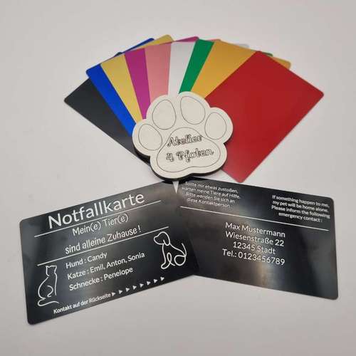 Hundeauslaufgebiet-Atelier 4 Pfoten-Bild