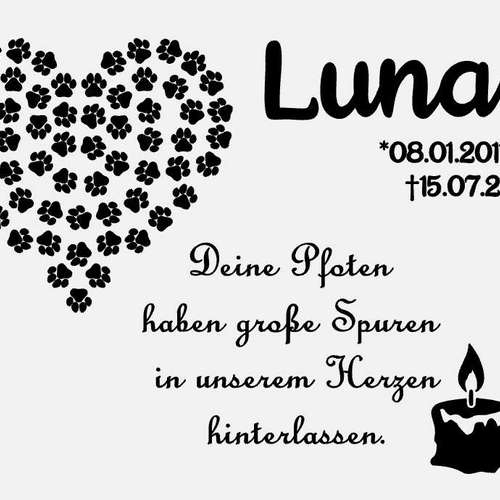 Hundeauslaufgebiet-Atelier 4 Pfoten-Bild