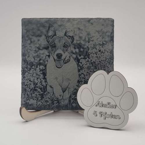 Hundeauslaufgebiet-Atelier 4 Pfoten-Bild