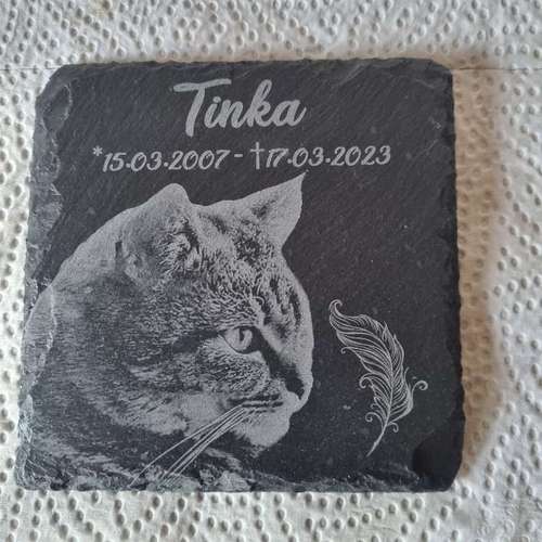 Hundeauslaufgebiet-Atelier 4 Pfoten-Bild