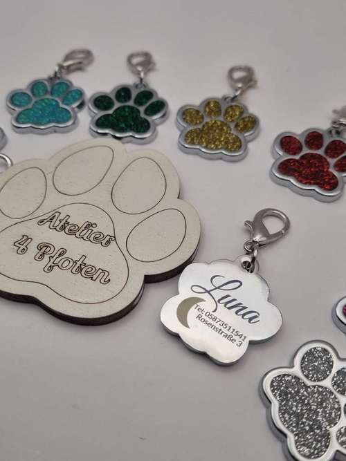 Hundeauslaufgebiet-Atelier 4 Pfoten-Bild