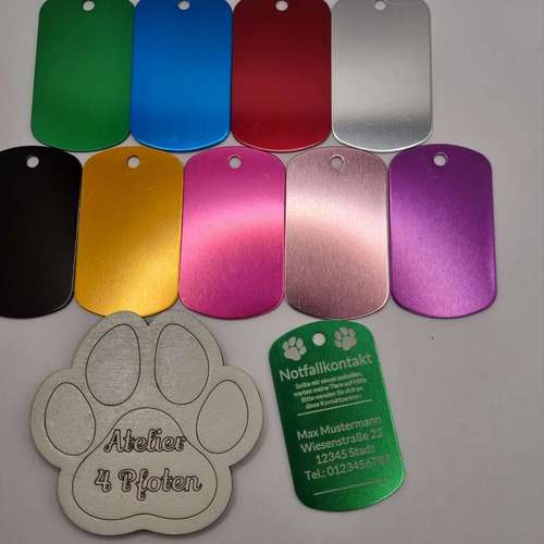 Hundeauslaufgebiet-Atelier 4 Pfoten-Bild