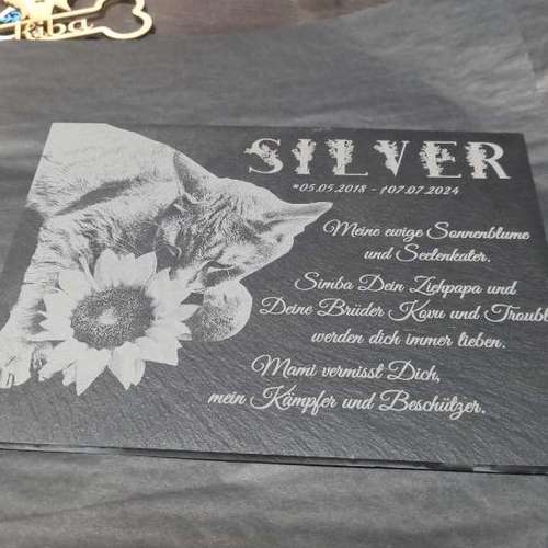 Hundeauslaufgebiet-Atelier 4 Pfoten-Bild