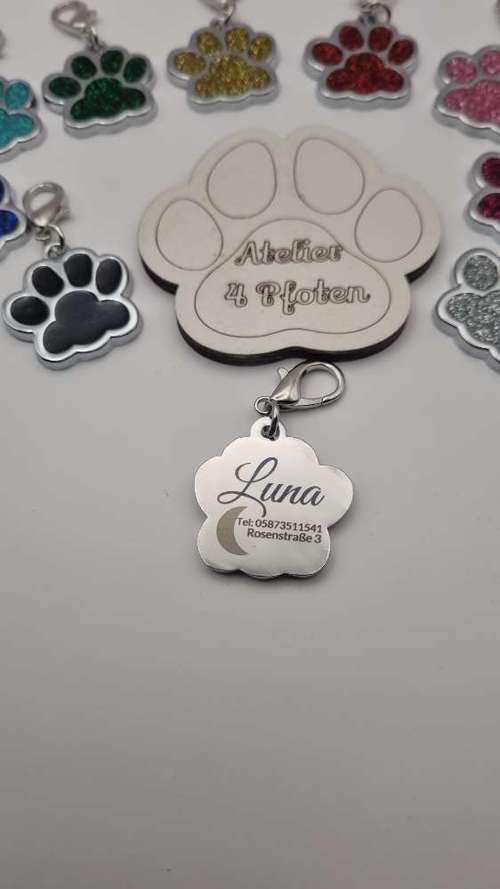 Hundeauslaufgebiet-Atelier 4 Pfoten-Bild