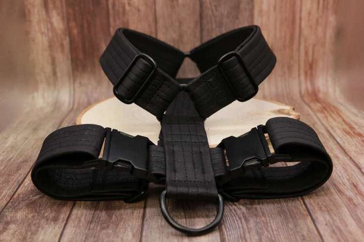 Hundeauslaufgebiet-KoerbiUndCo-Bild