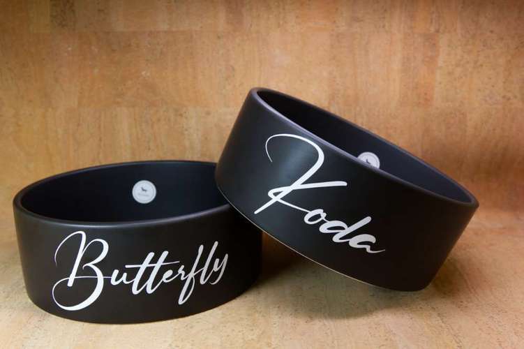 Hundeauslaufgebiet-KoerbiUndCo-Bild