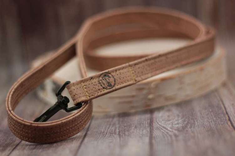 Hundeauslaufgebiet-KoerbiUndCo-Bild