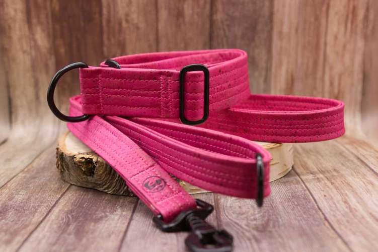 Hundeauslaufgebiet-KoerbiUndCo-Bild