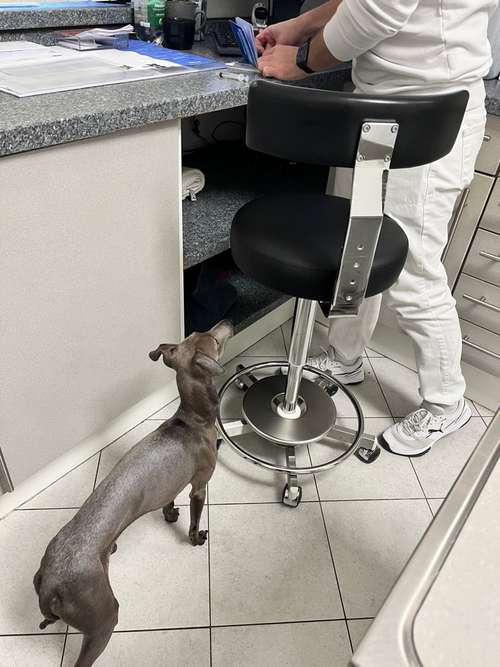 Hundeauslaufgebiet-Dr. Ulf Krohn-Bild