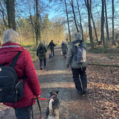 Hundeauslaufgebiet-Katharina Scherf - PowerPaw Akademie-Bild