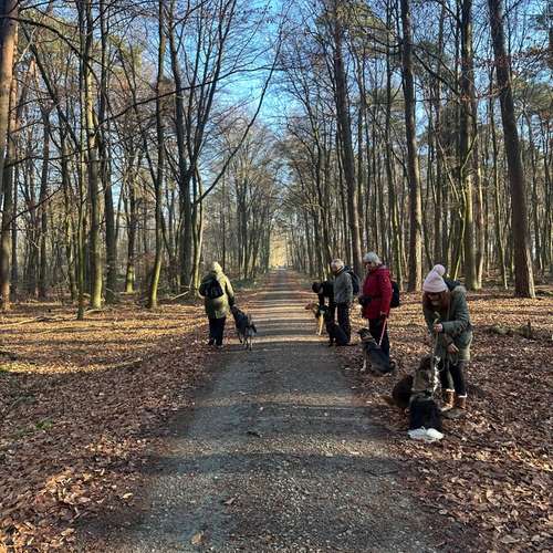 Hundeauslaufgebiet-Katharina Scherf - PowerPaw Akademie-Bild