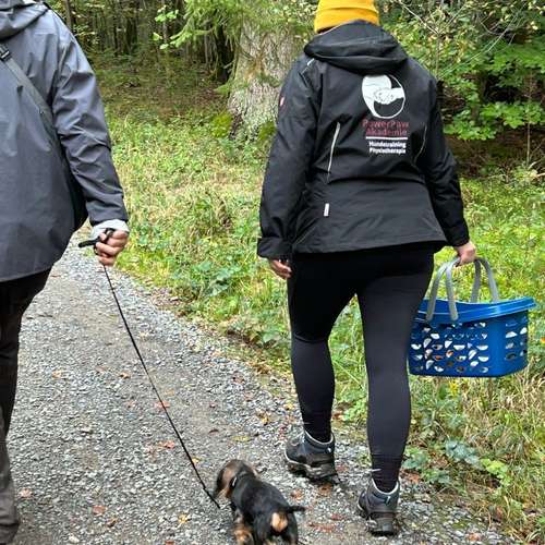 Hundeauslaufgebiet-Katharina Scherf - PowerPaw Akademie-Bild