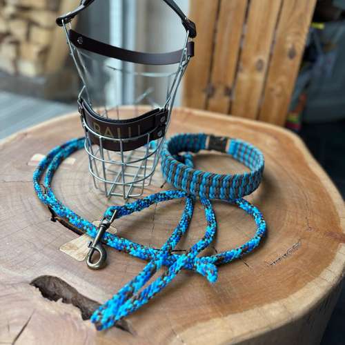 Hundeauslaufgebiet-Anjas Pfotenwerkstatt-Bild