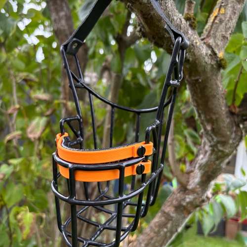 Hundeauslaufgebiet-Anjas Pfotenwerkstatt-Bild