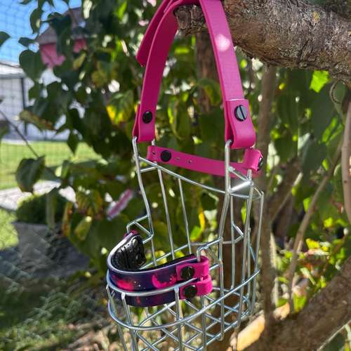 Hundeauslaufgebiet-Anjas Pfotenwerkstatt-Bild