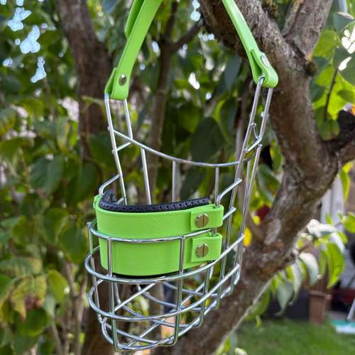 Hundeauslaufgebiet-Anjas Pfotenwerkstatt-Bild