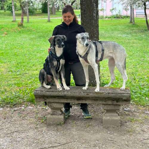Hundeauslaufgebiet-Hundeschule Birgit Klug GemeinsamWachsen-Bild