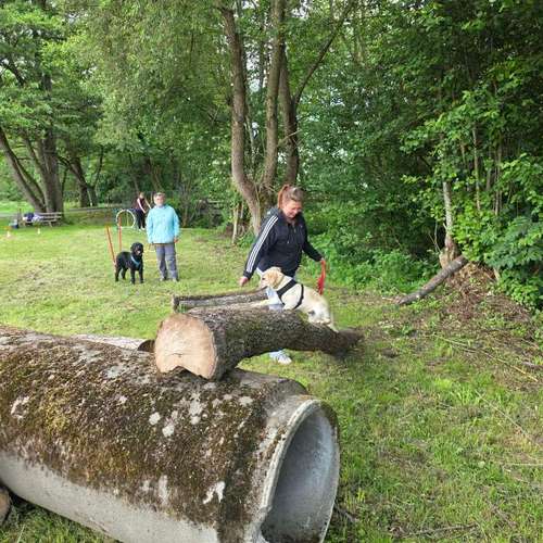Hundeauslaufgebiet-Hundeschule Birgit Klug GemeinsamWachsen-Bild
