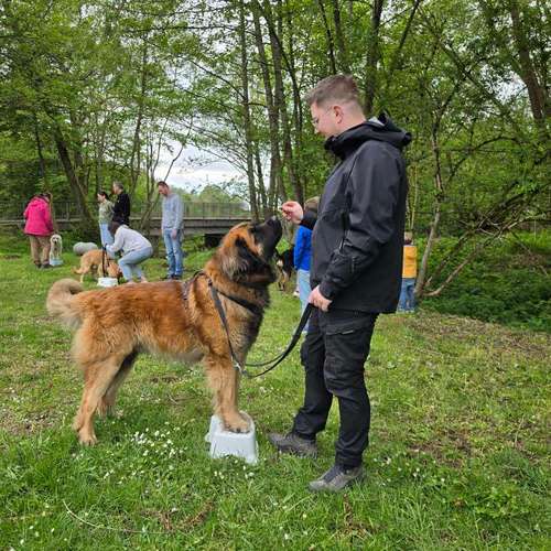 Hundeauslaufgebiet-Hundeschule Birgit Klug GemeinsamWachsen-Bild