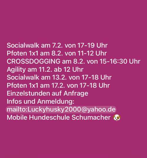 Hundeauslaufgebiet-Mobile Hundeschule Schumacher-Bild