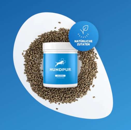 Hundeauslaufgebiet-Hundpur-Bild