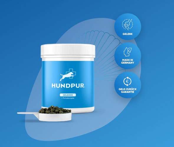 Hundeauslaufgebiet-Hundpur-Bild