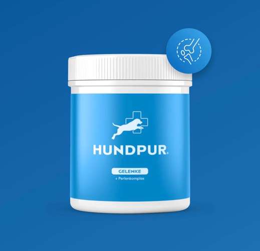 Hundeauslaufgebiet-Hundpur-Bild